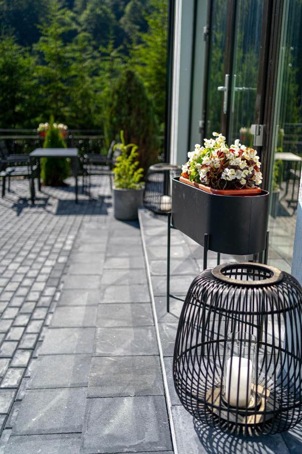 Piscul Negru Hotel - Transfagarasan Cumpăna Exterior foto