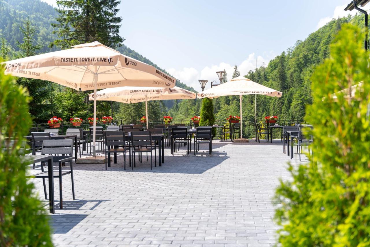 Piscul Negru Hotel - Transfagarasan Cumpăna Exterior foto